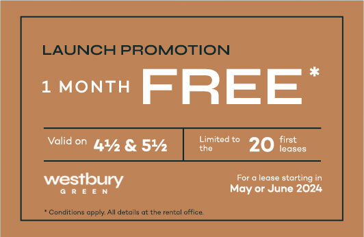 launch-promo