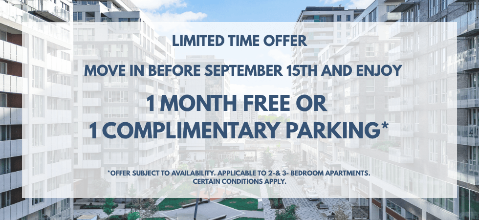 Promotion : 1 month free